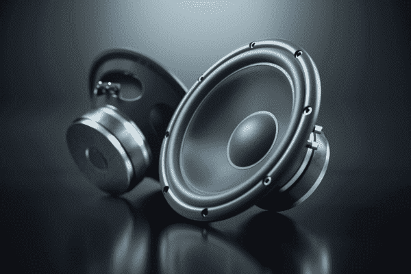 Speakers & Amps